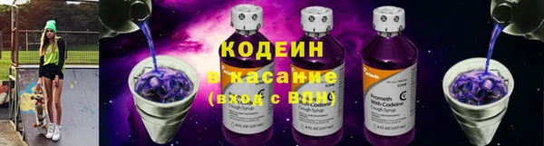 прущий лед Богданович