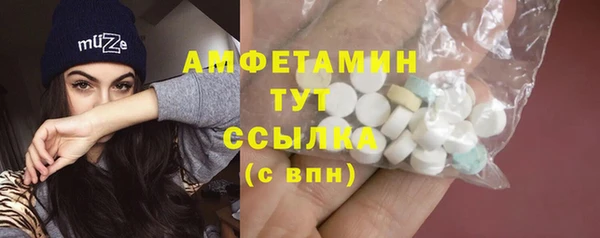 прущий лед Богданович