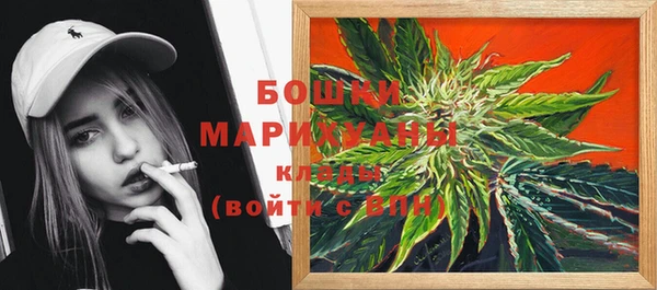 прущий лед Богданович