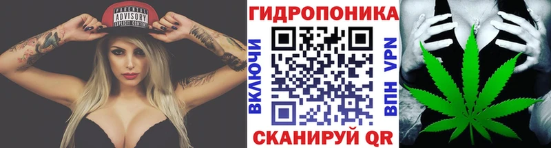 Бошки Шишки сатива  Купить где  Саров 